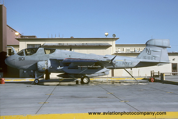 US Navy VAQ-129 Grumman EA-6B Prowler 161884/NJ-901 (1991)