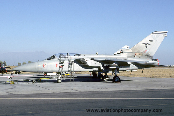 RAF 25 Squadron Panavia Tornado F.3 ZE737/FF (1998)