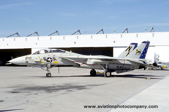US Navy VF-210 Grumman F-14A Tomcat 159867/NH-210 (1981)