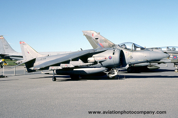 RAF 1 Squadron BAE Harrier GR.7 ZD438/50 (1998)