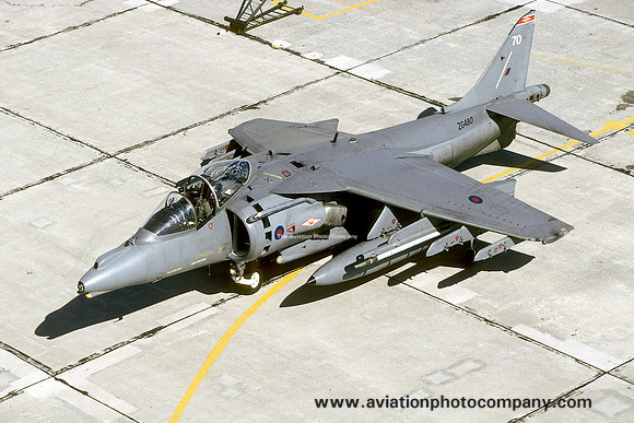 RAF 1 Squadron BAE Harrier GR.7 ZG480/70 at NAS Norfolk (1998)