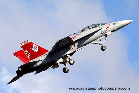 US Navy VFA-102 McDonnell Douglas F/A-18F Super Hornet 165894/NF-100 (2007)