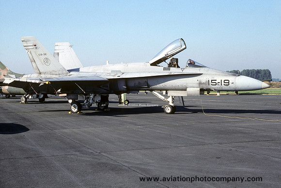 Spanish Air Force Ala 15 McDonnell Douglas EF-18M Hornet C.15-32/15-19 (1991)