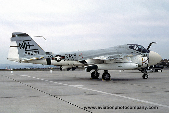 US Navy VA-95 Grumman A-6E Intruder 152920/NH-524 (1980)