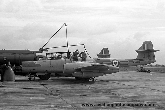 RAF 264 Squadron Gloster Meteor NF.12 WS604/U (1957)