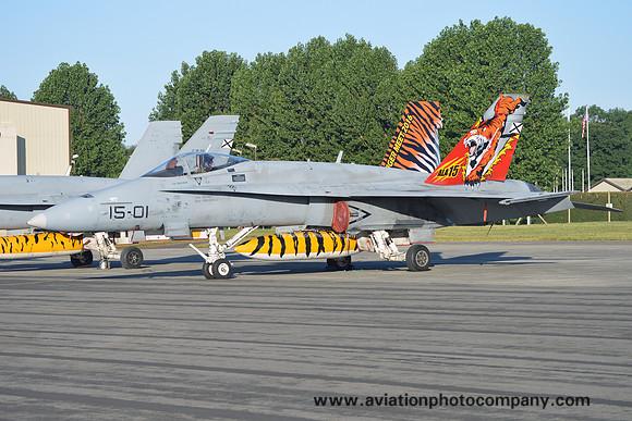 Spanish Air Force Ala 15 McDonnell Douglas EF-18M Hornet C.15-14/15-01 at RIAT Fairford (2017)