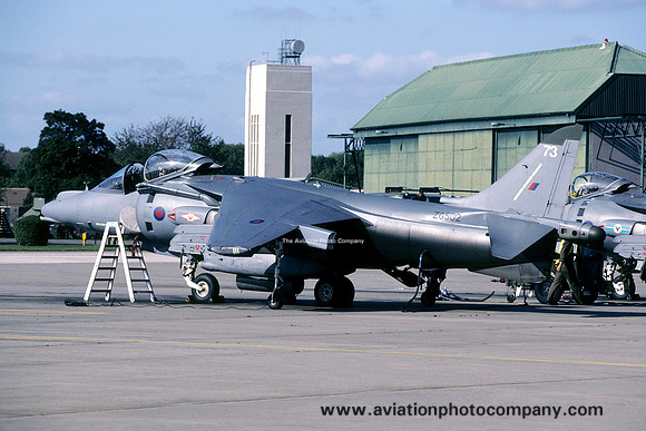 RAF 1 Squadron BAE Harrier GR.7 ZG502/73 (1998)