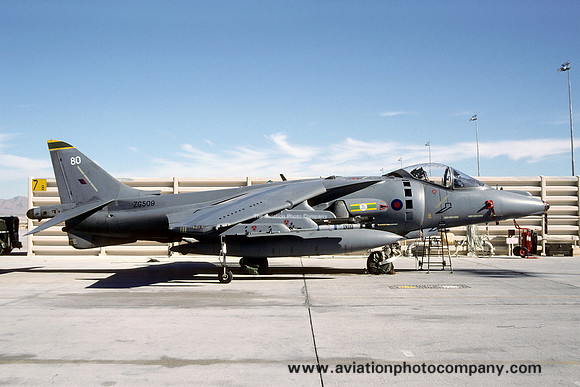 RAF 3 Squadron BAE Harrier GR.7 ZG509/80 (1999)