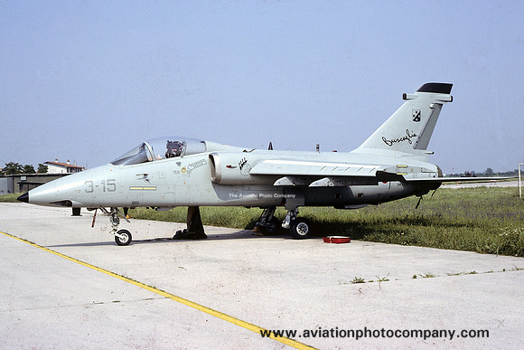 Italian Air Force 3 Stormo Aeritalia AMX MM7125/3-15 (1991)