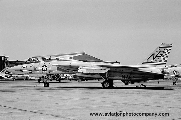US Navy VF-211 Grumman F-14A Tomcat 159636/NG-100 (1976)