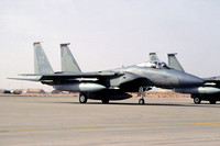 USAF 18 WG 67 FS McDonnell Douglas F-15C Eagle 78-0500/ZZ at Prince Sultan AB (2002)