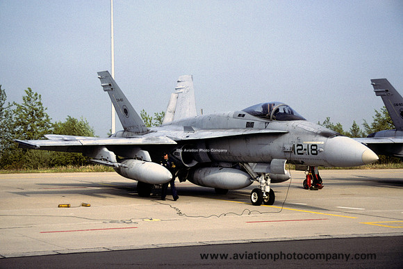 Spanish Air Force Ala 12 McDonnell Douglas EF-18A Hornet C.15-60/12-18 (2004)