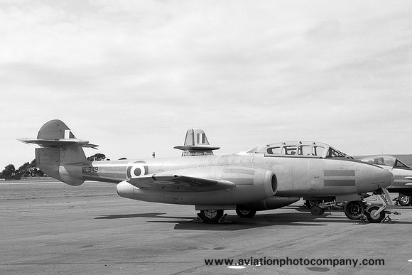 RAF 229 OCU Gloster Meteor T.7 WL349