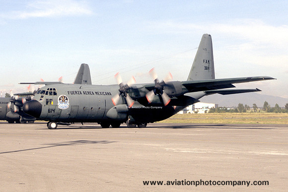 Mexican Air Force Lockheed C-130K Hercules 3614 (2008)