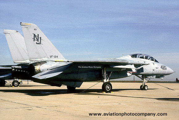 US Navy VF-124 Grumman F-14A Tomcat 161285/NJ-420 (1988)
