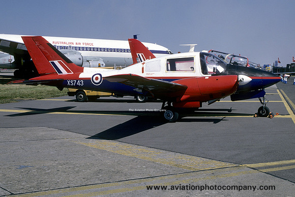 ETPS Beagle Basset XS743 (1999)