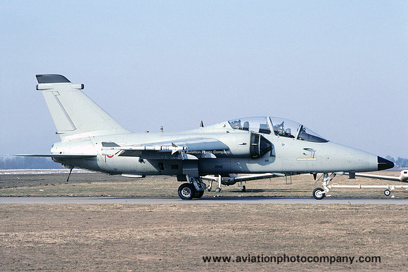 Italian Air Force Aeritalia AMX-T MM55025 (1991)