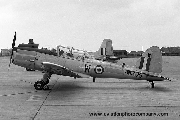 RAF 1 FTS DHC-1 Chipmunk T.10 WK629/W (1969)