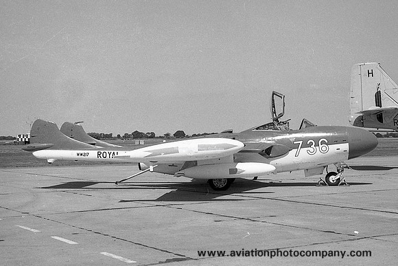 Royal Navy ADS De Havilland Sea Venom FAW.21 WW217/736 (1969)