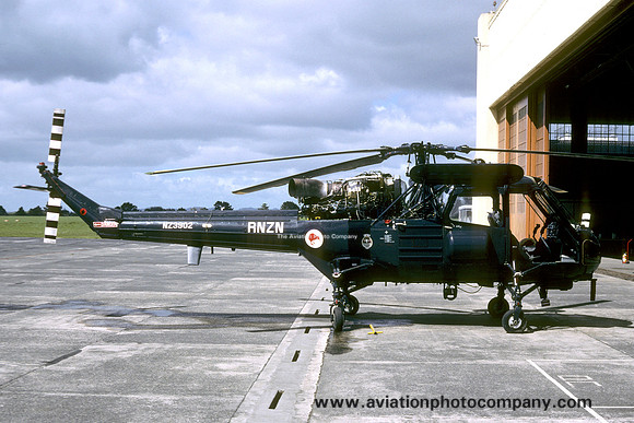 Royal New Zealand Navy 3 Squadron Westland Wasp HAS.1 NZ3902 (1988)
