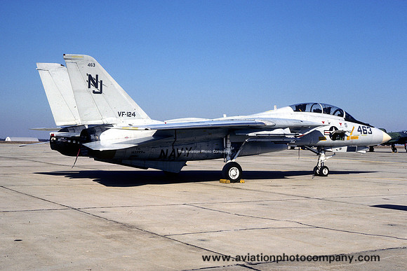 US Navy VF-124 Grumman F-14A Tomcat 162599/NJ-463 (1987)
