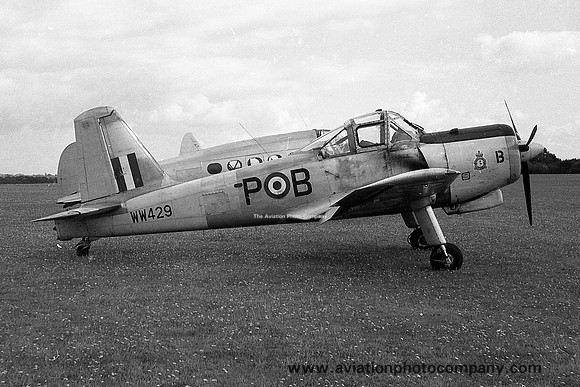 RAF 6 FTS Percival Provost T.1 WW429