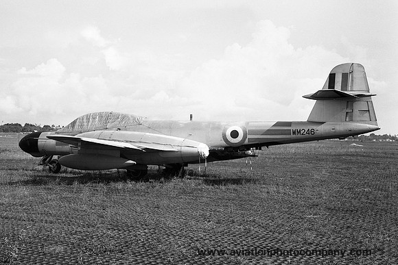 RAF 1574 Flight Gloster Meteor TT.20 WM246