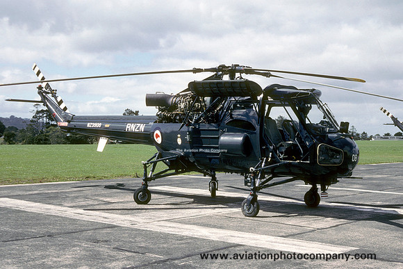 Royal New Zealand Navy 3 Squadron Westland Wasp HAS.1 NZ3908 (1988)
