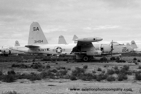 US Navy Washington Lockheed SP-2E Neptune 131494/6A-204 stored at MASDC Davis Monthan (1976)