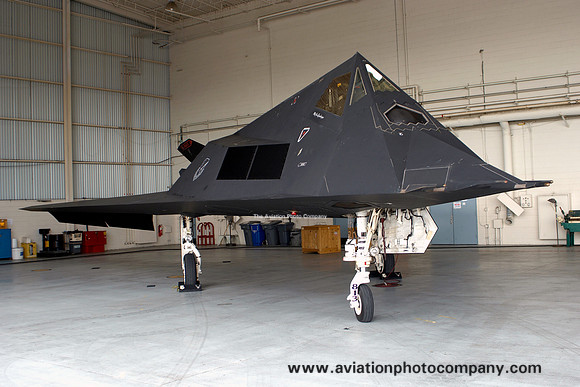 USAF 49th Fighter Wing 9th Fighter Squadron Lockheed F-117A Nighthawk 85-0813/HO (2007)