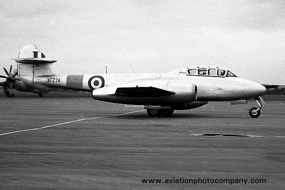 RAE Gloster Meteor T.7 XF274 (1956)