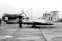 RAF 4 FTS Folland Gnat T.1 XR952/31