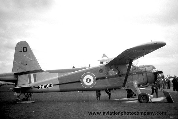 RNZAF Trans Antarctic Expedition DHC-2 Beaver NZ6010 (1959)