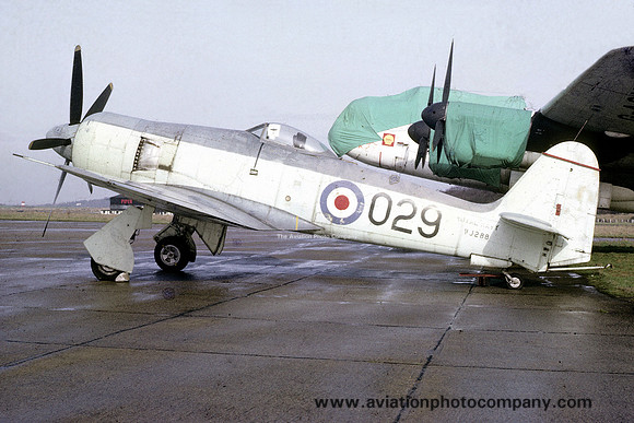 Royal Navy FRU Hawker Sea Fury FB.11 WJ288