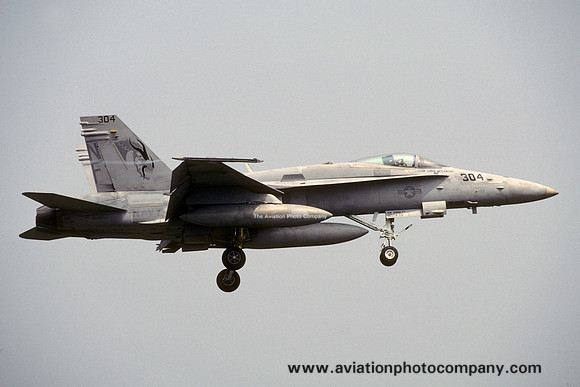 US Navy VFA-192 McDonnell Douglas F/A-18C Hornet 164954/NF-304 (2002)