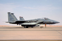 USAF 18 WG 44 FS McDonnell Douglas F-15C Eagle 78-0487/ZZ at Prince Sultan AB (2002)