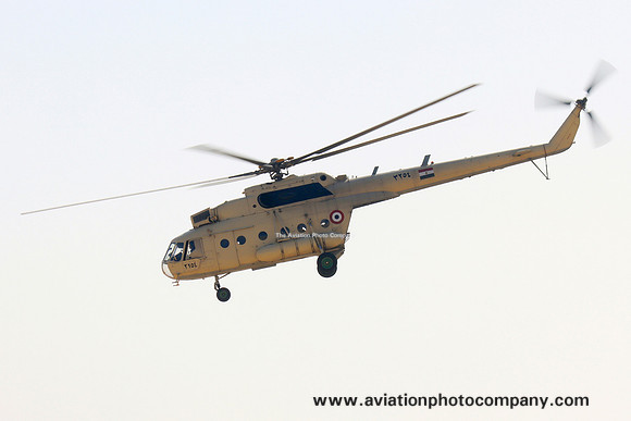 Egyptian Air Force Mil Mi-17-1V 3254 (2024)
