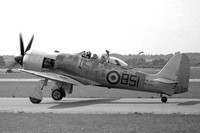 Royal Navy Hawker Sea Fury T.20 WE823 (1956)