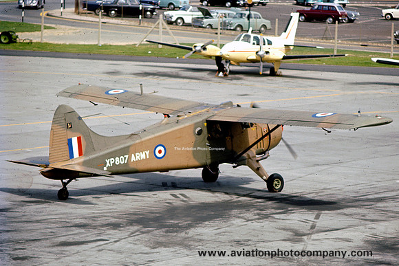 Army Air Corps 132 Flight DHC-2 Beaver AL.1 XP807 (1966)