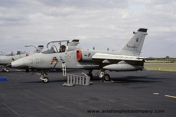 Italian Air Force 3 Stormo Aeritalia AMX MM7134/3-01 (1993)