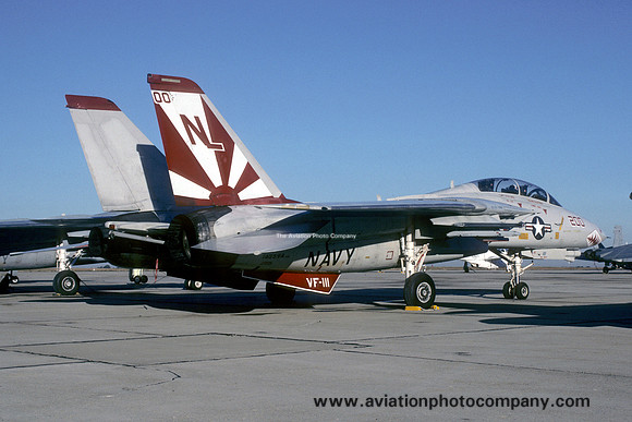 US Navy VF-111 Grumman F-14A Tomcat 162594/NL-200 (1990)