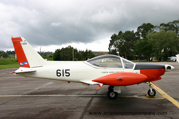 Uruguayan Air Force MA SIAI SF-260EU 615 (2007)