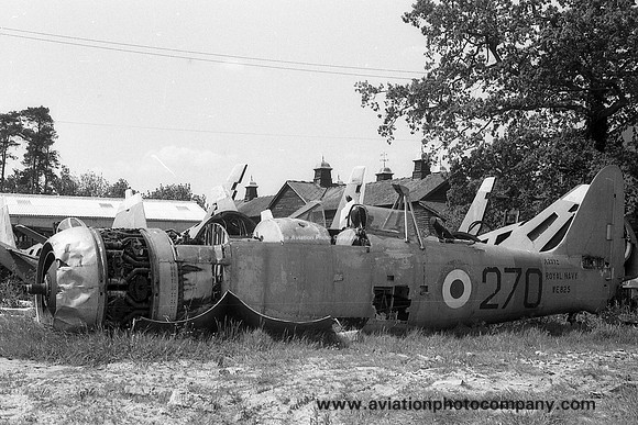 Royal Navy Hawker Sea Fury T.20 WE825 at Crookham