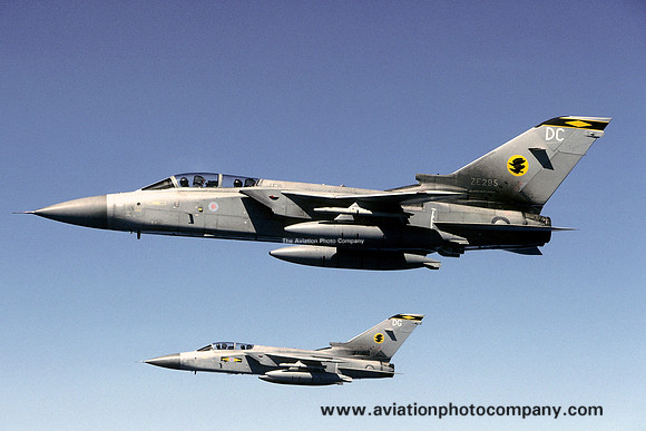 RAF 11 Squadron Panavia Tornado F.3 ZE295/DC (2005)