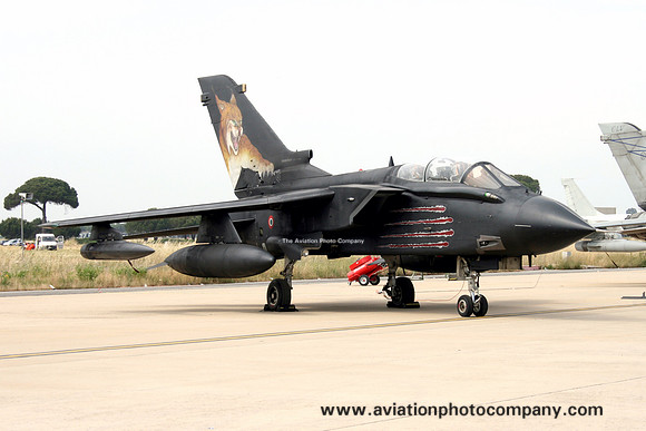 Italian Air Force 36 Stormo Panavia Tornado MM7005 (2007)