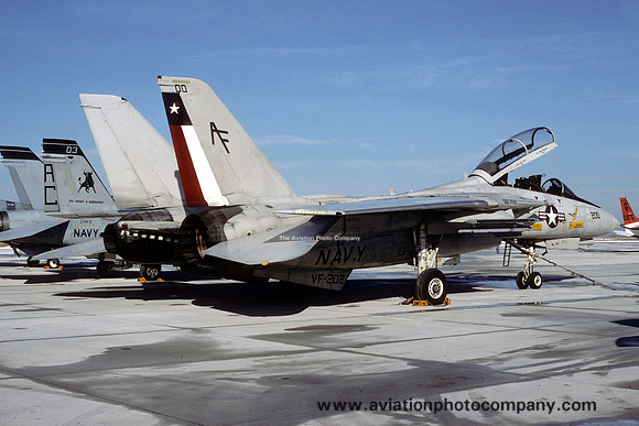 US Navy VF-202 Grumman F-14A Tomcat 162710/AF-200 (1991)