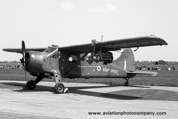 AAC DHC-2 Beaver AL.1 XP807