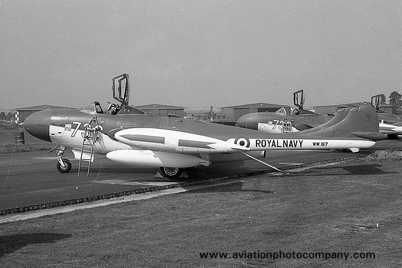 Royal Navy ADS De Havilland Sea Venom FAW.22 WW187/736 (1967)