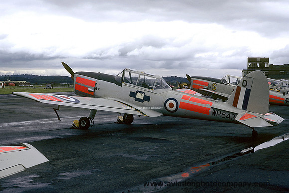 RAF Oxford UAS DHC-1 Chipmunk T.10 WP843 (1972)