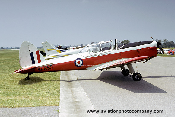 RAF Battle of Britain Memorial Flight DHC-1 Chipmunk T.10 WP855 (1974)